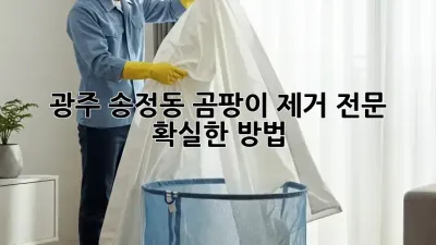 광주 송정동 곰팡이 제거 전문 💯 확실한 방법!