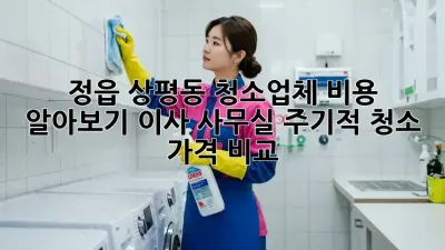 정읍 상평동 청소업체 비용 알아보기: 이사, 사무실, 주기적 청소 가격 비교