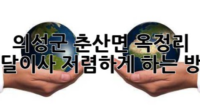 의성군 춘산면 옥정리 용달이사 저렴하게 하는 방법