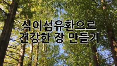 식이섬유환으로 건강한 장 만들기